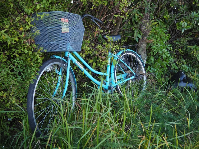 放置自転車