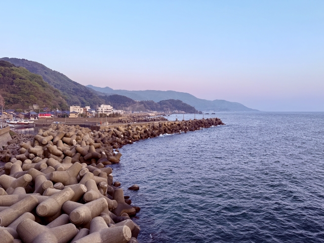 沿岸部